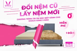 Đổi nệm cũ - Lấy nệm mới