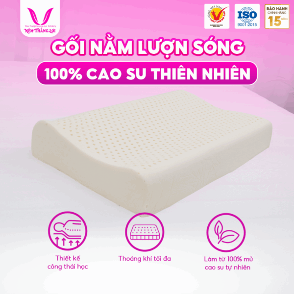 Gối Nằm Lượn Sóng Cao Su Thiên Nhiên Thắng Lợi