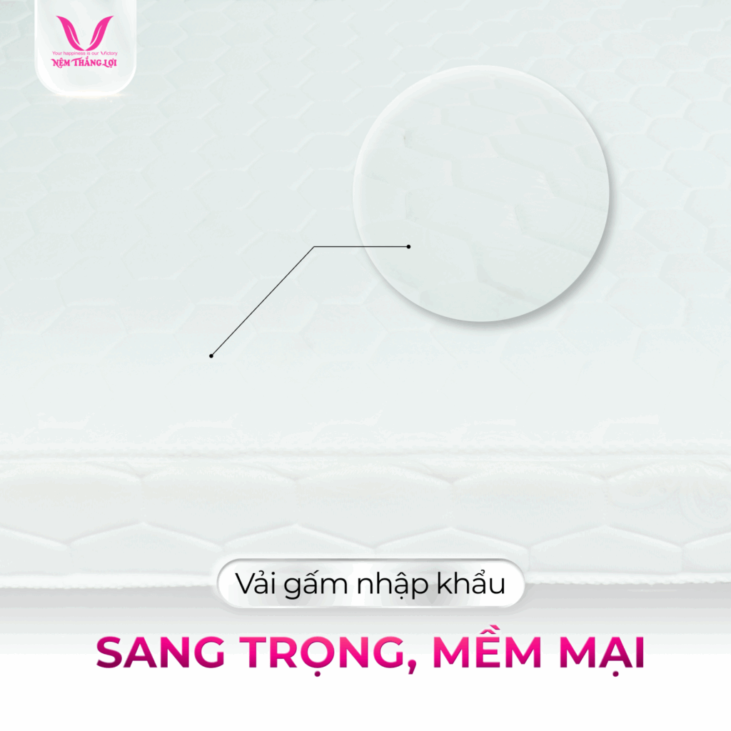 Nệm Cao Su Nhân Tạo Gấm Nhung Thắng Lợi