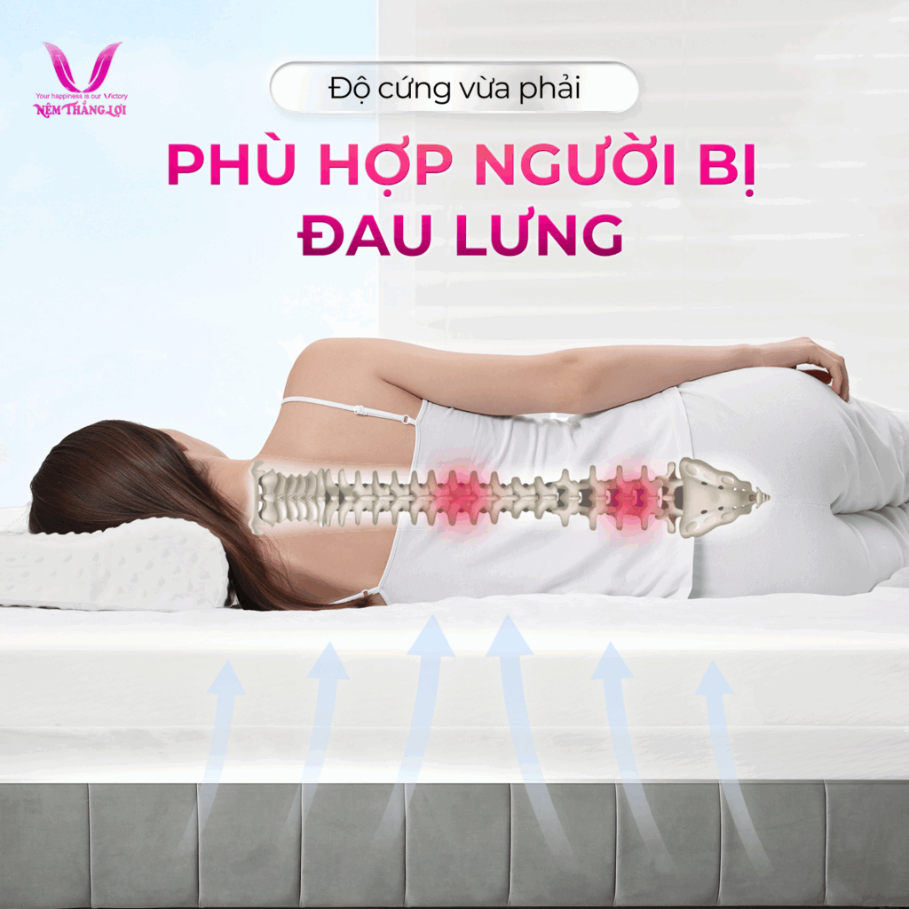 Nệm Cao Su Foam WonderFoam Thắng Lợi