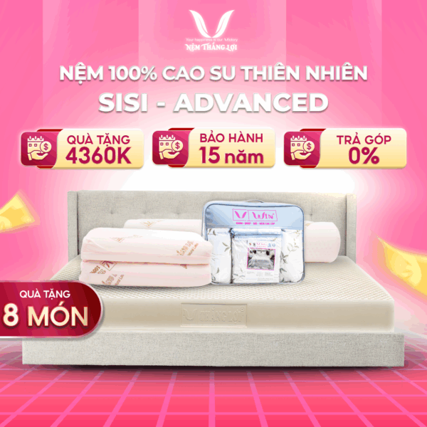 NỆM 100% CAO SU THIÊN NHIÊN THẮNG LỢI SISI - ADVANCED