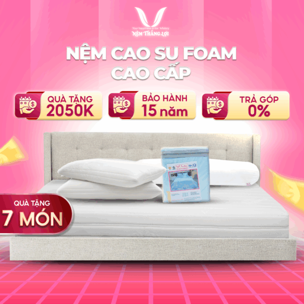 Nệm Cao Su Foam Cao Cấp Thắng Lợi